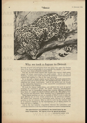 1955 JAGUAR ENGLISH UK REPRO AD ART PRINT POSTER
