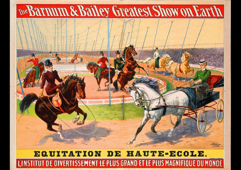 1900 BARNUM AND BAILEY HORSES VINTAGE CIRCUS AD ART PRINT POSTER