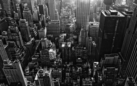 NEW YORK MADNESS GICLEE CANVAS ART PRINT POSTER