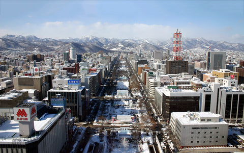 SAPPORO JAPAN GICLEE CANVAS ART PRINT POSTER